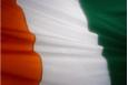 Irish Flag